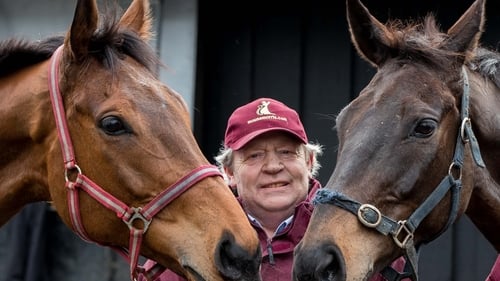 Mouse Morris isn't sure about sending Sams Profile to the Cheltenham Festival