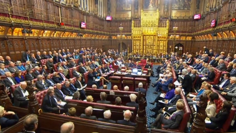 Lord Callanan said he didn't think the rules of the house allowed gambling