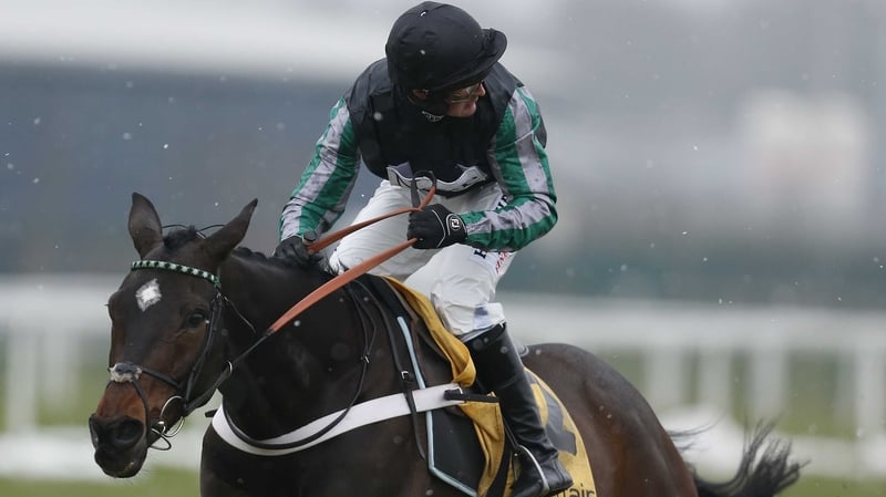 Altior can look forward to the Champion Chase