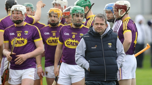 Wexford will be playing in hurling's top tier in 2018