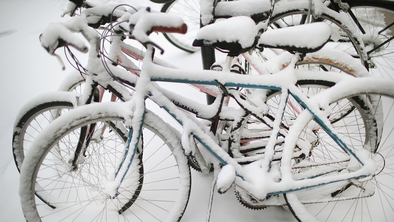 A gift from the Arctic