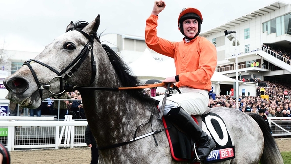 Labaik won the Supreme Novices' Hurdle at Cheltenham in March