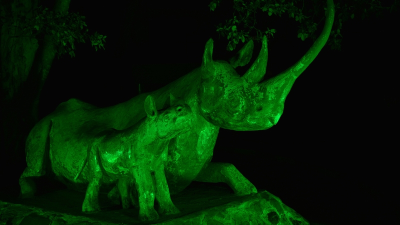 Kyela and Lankeu (mother and baby), in Nairobi National Park, Kenya go green for St. Patrick's Day