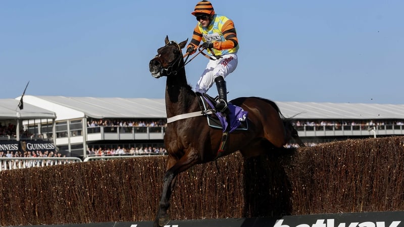 Might Bite hit 34 on Betfair in-running due to his antics after the last