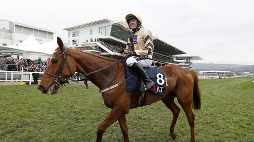 Former Champion jockey Ruby Walsh piloted Yorkhill to a second Cheltenham Grade One success in 2017