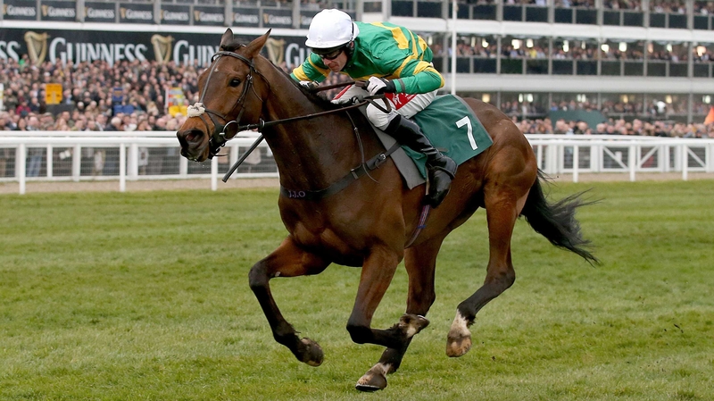 Minella Rocco could impress in this year's Gold Cup