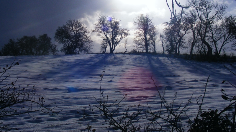 Snow fell around the country in recent days (Pic: Shane Dunne)