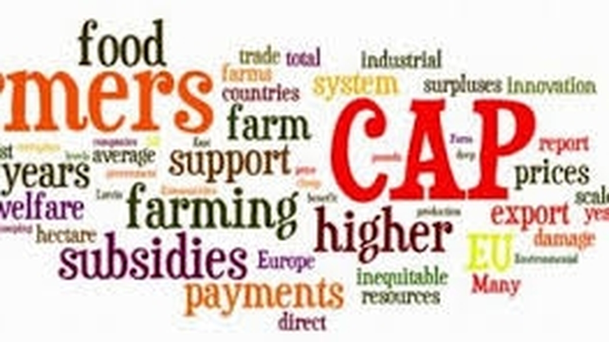 CAP - Common Agricultural Policy