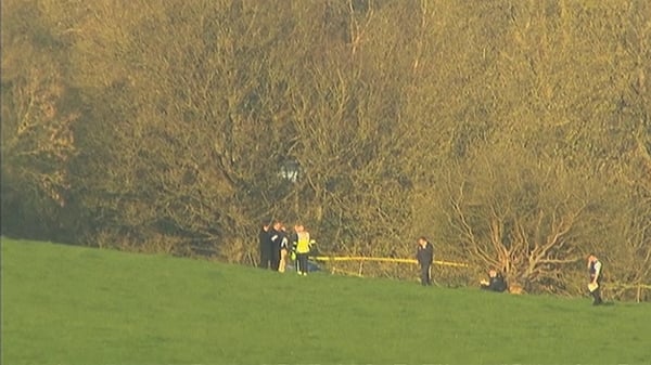 The plane crashed around 5km from Dungarvan