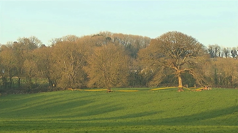 The cause of the crash is not yet known