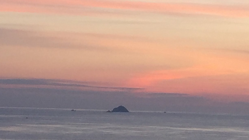 The co-ordinated dives were designed to rule out specific areas of interest that had been difficult to access