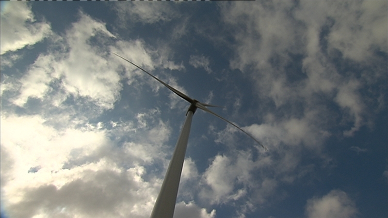 The company is to invest in wind, biomass and other renewable energy sources over the coming years
