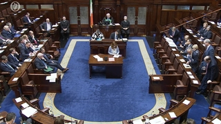 Garda controversies topped the agenda for Leaders' Questions