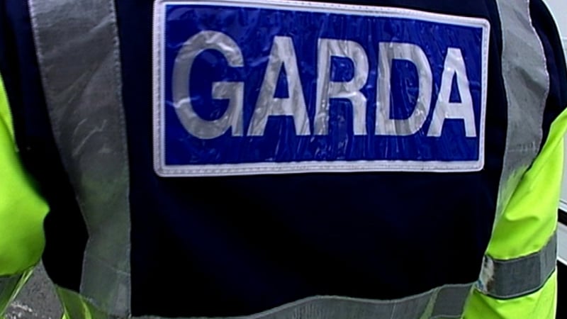 The raid happened in the Patrickswell area last Sunday evening
