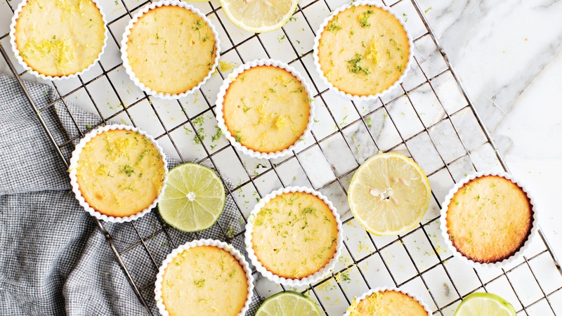 Lemon and Lime Mini Cheesecakes