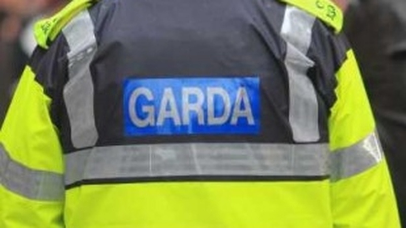 Gardaí attended the scene of the collision (file image)