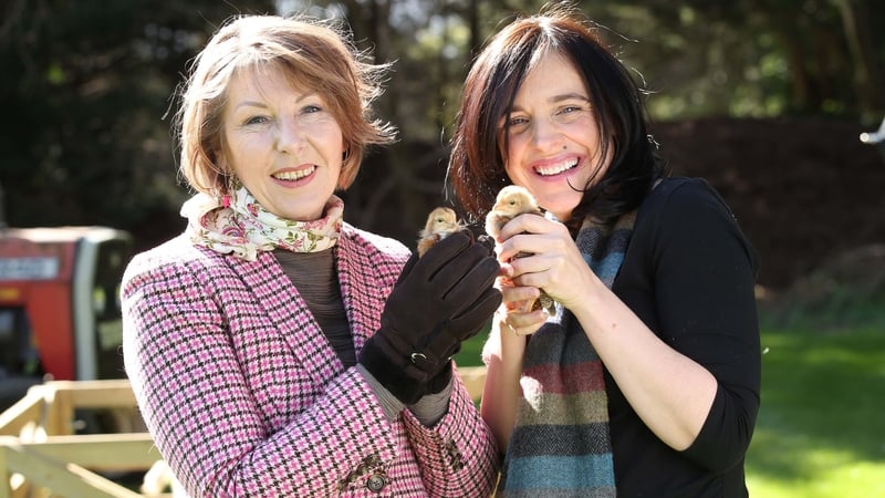 Ella and Áine are back presenting alongside Darragh and Helen.