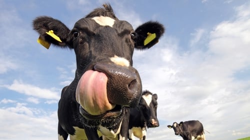 Big Week on the Farm: What's it All About?