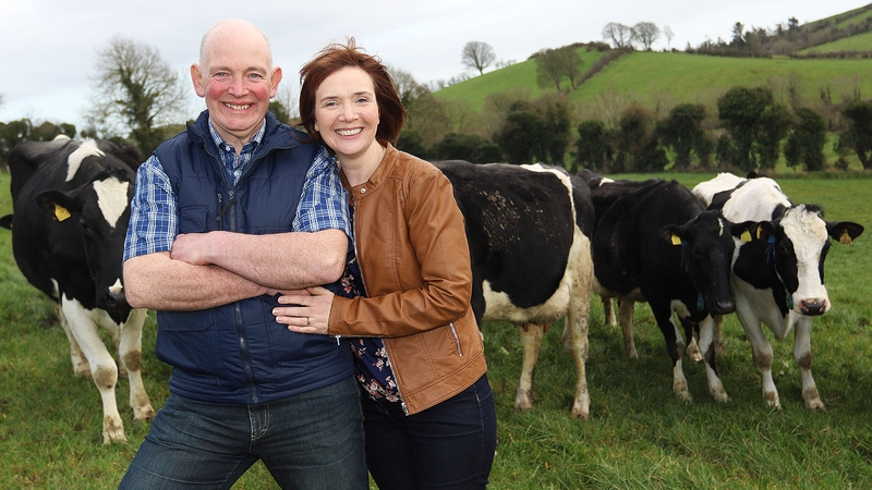 Take a tour of the Shalvey dairy farm