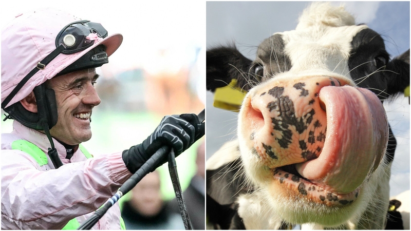 Ruby Walsh swaps horseriding for cow stomachs tonight!