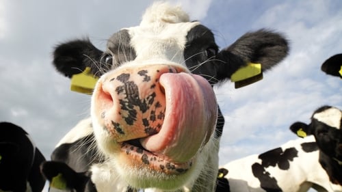 Our Top 10 #OnTheFarm Tweets