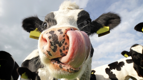Our Top 10 #OnTheFarm Tweets