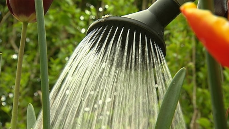 The draft Oireachtas Water committee report has decided to scrap charges, approve refunds and to reject mandatory metering of new builds