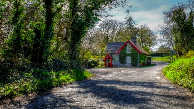 Doorheen Lodge, Loughrea, Co Galway (Pic: Larry Morgan)