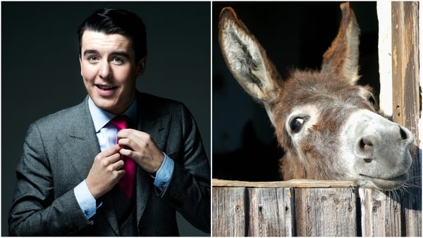 Al Porter will brave tastes unknown by eating donkey cheese live on air.