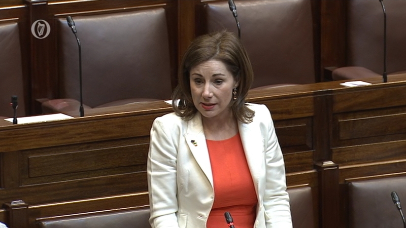 Josepha Madigan told the Dáil the current system was 'punitive'