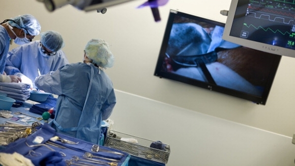 Organ Donation: "Niamh came along one day and said, 'I'll give yo