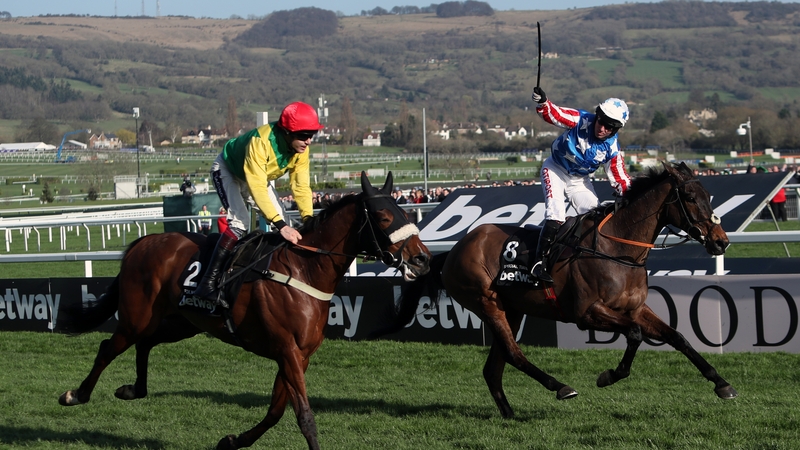 Special Tiara (r) won the Champion Chase last year at Cheltenham