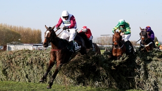 One For Arthur won the Grand National