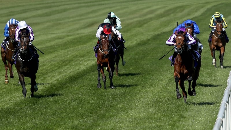 No date has been agreed on for a return to racing in Ireland