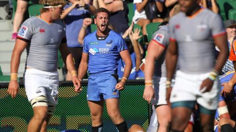 Western Force and the Southern Kings are two sides facing the cull