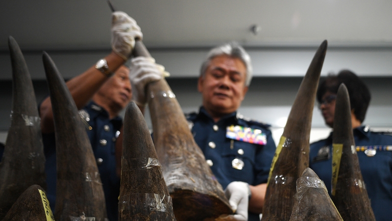 Customs officials said the horns had been marked as art objects
