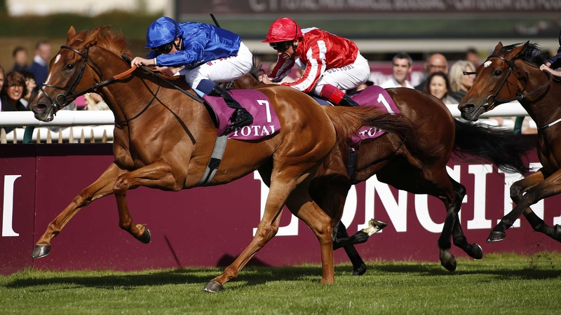 Wuheida faces at least six weeks on the sidelines before returning to work