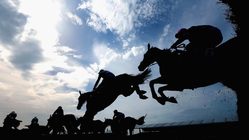 Equine influenza is a highly infectious disease of horses with symptoms including high fever, coughing and nasal discharge