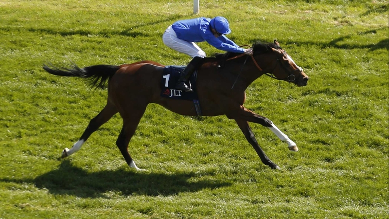 Barney Roy won the St James's Palace Stakes at Royal Ascot on his most recent start