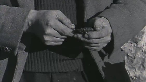 Galway Oyster Festival (1962)