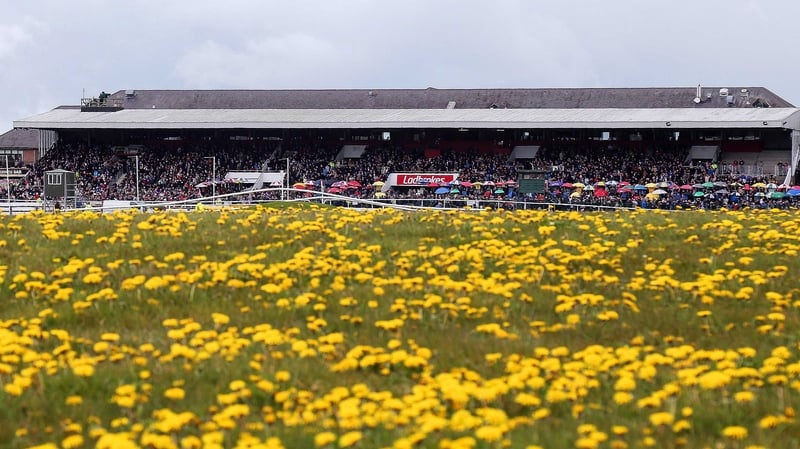 It's Day 3 at Punchestown