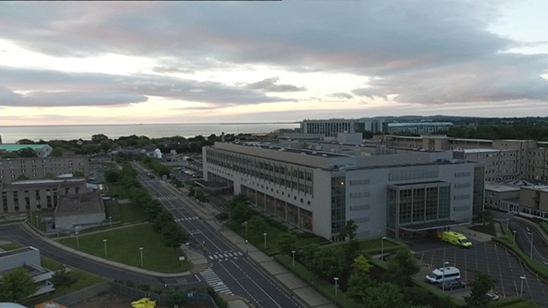 The St Vincent's Healthcare Group said the clinical independence of the hospital will be enshrined in the Memorandum and Articles of the new facility