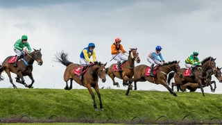 The runners and riders clear Rubys Double during the Kildare Hunt Club Fr Sean Breen Memorial Steeplechase