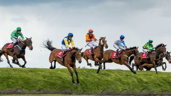 The runners and riders clear Rubys Double during the Kildare Hunt Club Fr Sean Breen Memorial Steeplechase