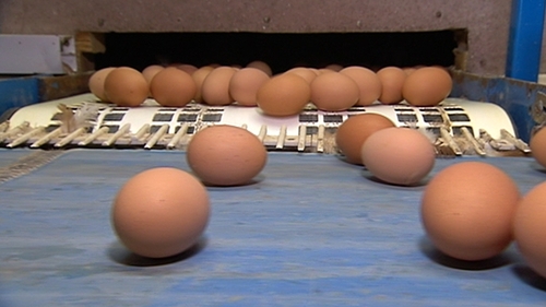 161 subjects consumed at least three portions of chicken and eggs per week which had been naturally enriched with omega-3