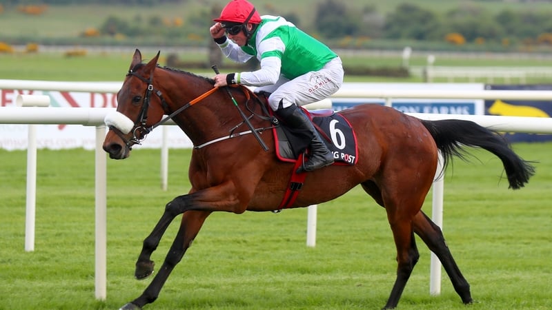 Jamie Codd punches the air as Fayonagh claimed the Bumper at Punchestown