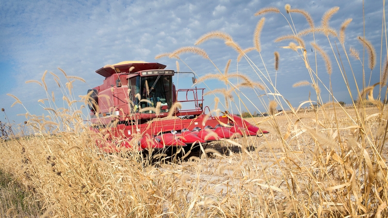 The National Corn Growers Association said withdrawing from NAFTA would be a disaster for the US