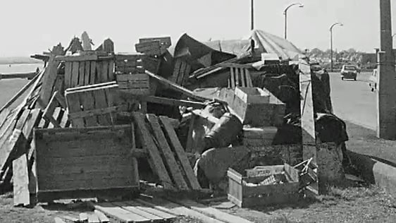 Shack in Clontarf