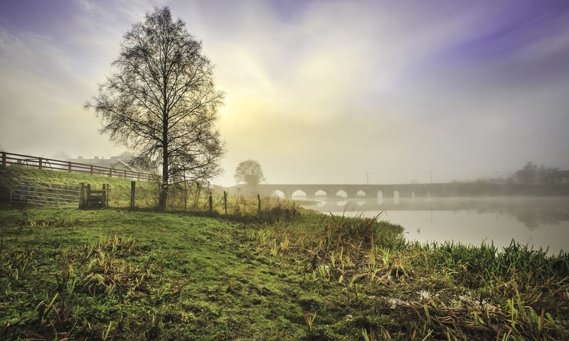 WINNER - Ann O' Connell, O' Brien's Bridge, Co. Clare