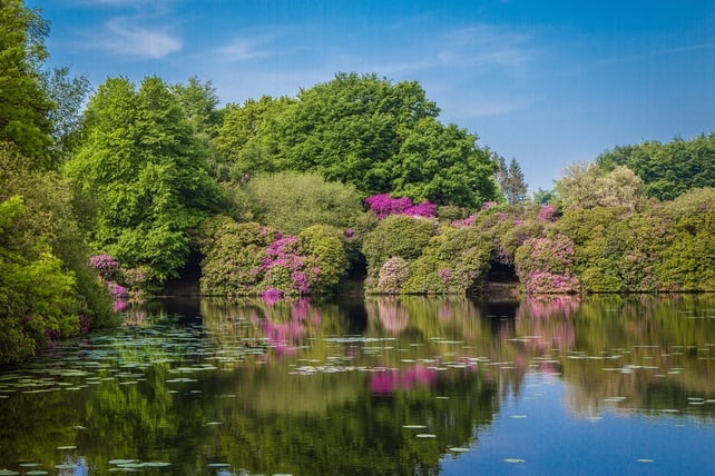 Malcolm Totten, Rossmore Forest Park. Co. Monaghan